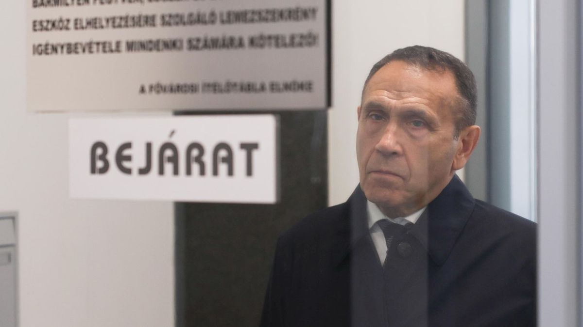 Gyárfás-ügy: egy jogerős ítélet margójára