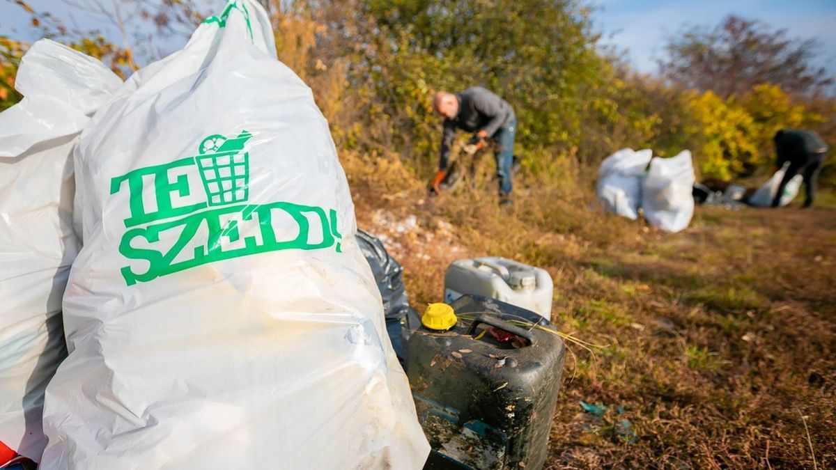 Környezetvédelmi bírság: milliárdos büntetéssel sújthatják a szabályszegőket