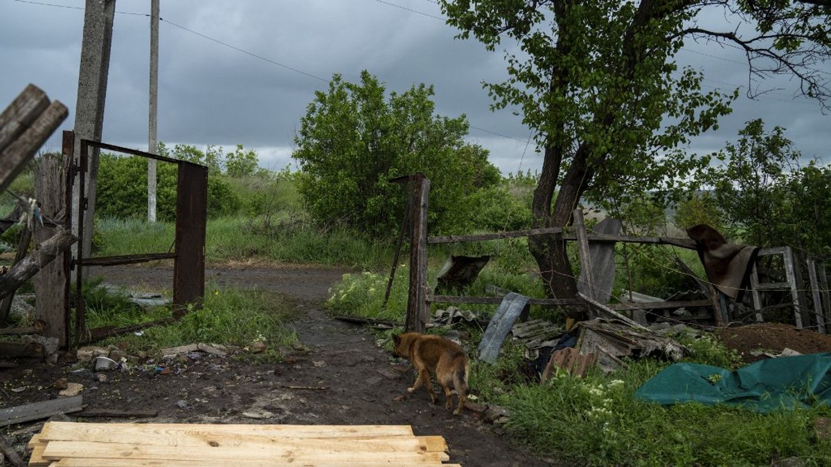 Tűzszünet: bejelentést tettek az amerikaiak