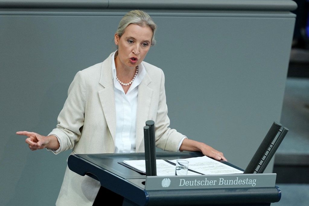 14 May 2025, Berlin: Alice Weidel, federal leader and parliamentary group leader of the AfD, speaks after the Federal Chancellor's government statement in the plenary session of the Bundestag. Photo: Kay Nietfeld/dpa (Photo by KAY NIETFELD / DPA / dpa Picture-Alliance via AFP)