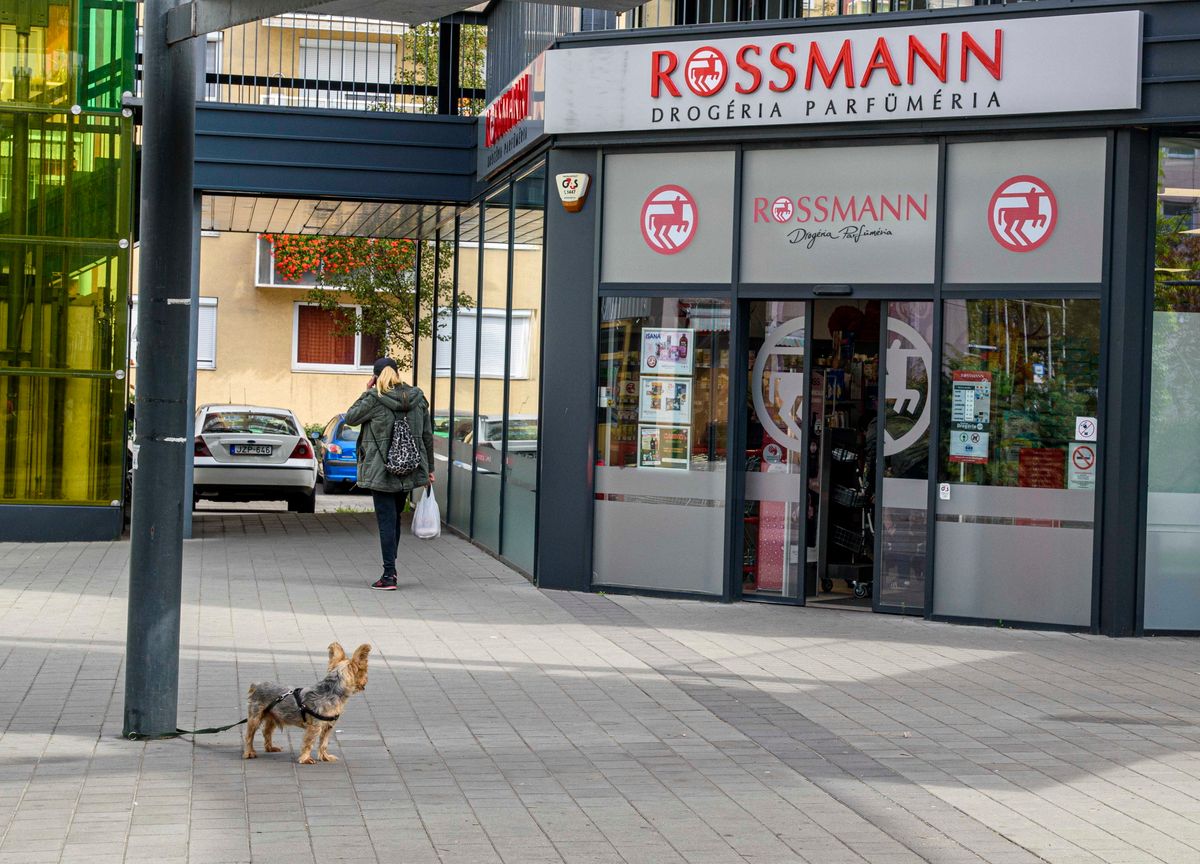 Budapest, 2022. szeptember 24.
A Rossmann német drogéria-parfüméria családi cég egyik magyarországi üzlete a felújított Spirálház, vagy a korábban csigalépcsős házként ismert egykori szolgáltatóházban Újpalotán, a főváros XV. kerületének városrészében. A lakótelep 1969-től a Tenke Tibor vezette építészmérnöki kar, a Tervezésfejlesztési és Típustervező Intézet munkatársainak tervei alapján épült az egykori Pestújhelyi temető és részben a mezőgazdasági művelésből kivont területek helyére. Legkésőbb az úgynevezett Víztoronyházba költöztek be a lakók 1976-ban. A szolgáltatók épületei 1978-ra készültek el. Valójában azonban sosem lett kész teljesen, hiszen a Fő térre tervezett kulturális központot a források hiányára hivatkozva nem kezdték el építeni. Az eredetileg tervezett 13 500 helyett végül 15 400 lakást adtak át.
MTVA/Bizományosi: Róka László
***************************
Kedves Felhasználó!
Ez a fotó nem a Duna Médiaszolgáltató Zrt./MTI által készített és kiadott fényképfelvétel, így harmadik személy által támasztott bárminemű – különösen szerzői jogi, szomszédos jogi és személyiségi jogi – igényért a fotó szerzője/jogutódja közvetlenül maga áll helyt, az MTVA felelőssége e körben kizárt.