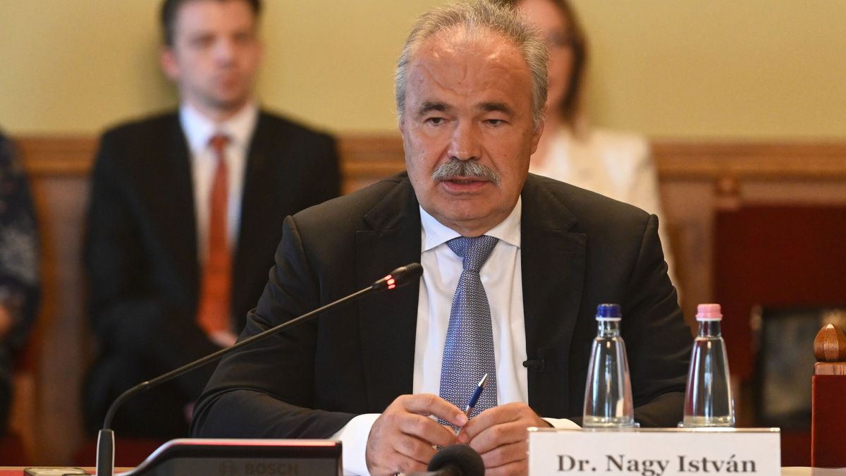 Nagy István: Ukrajna EU-csatlakozása veszélybe sodorná a gazdák megélhetését