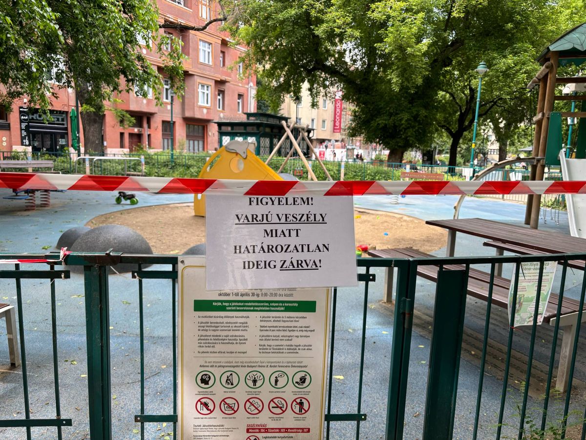 varjú