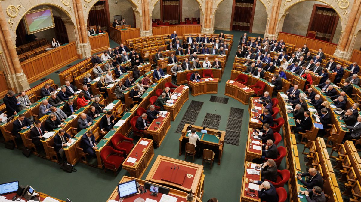 20241126 Budapest
Országgyűlés
plenáris ülés
Fotó: Hatlaczki Balázs HB
Pesti Srácok PS
A képen: parlamenti patkó