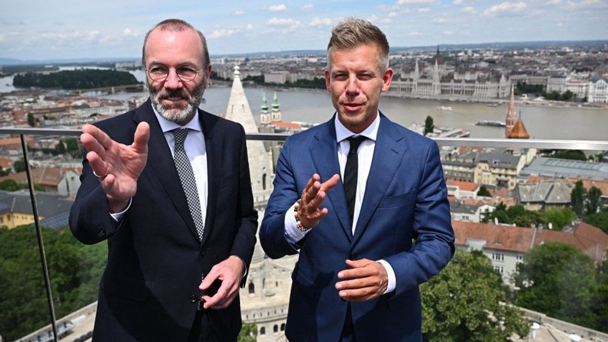 Kimutatta a foga fehérjét Magyar Péter Ukrajna kapcsán