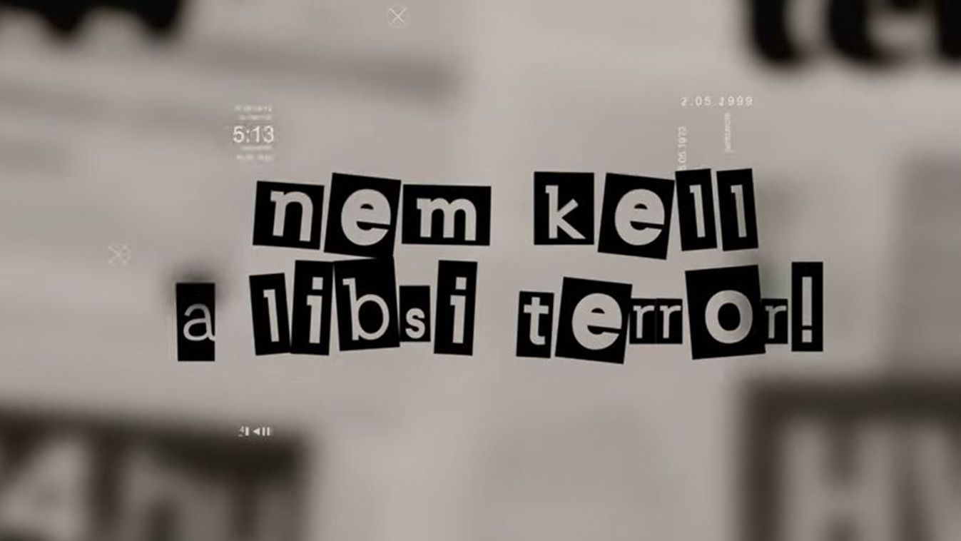Cikk kép: undefined