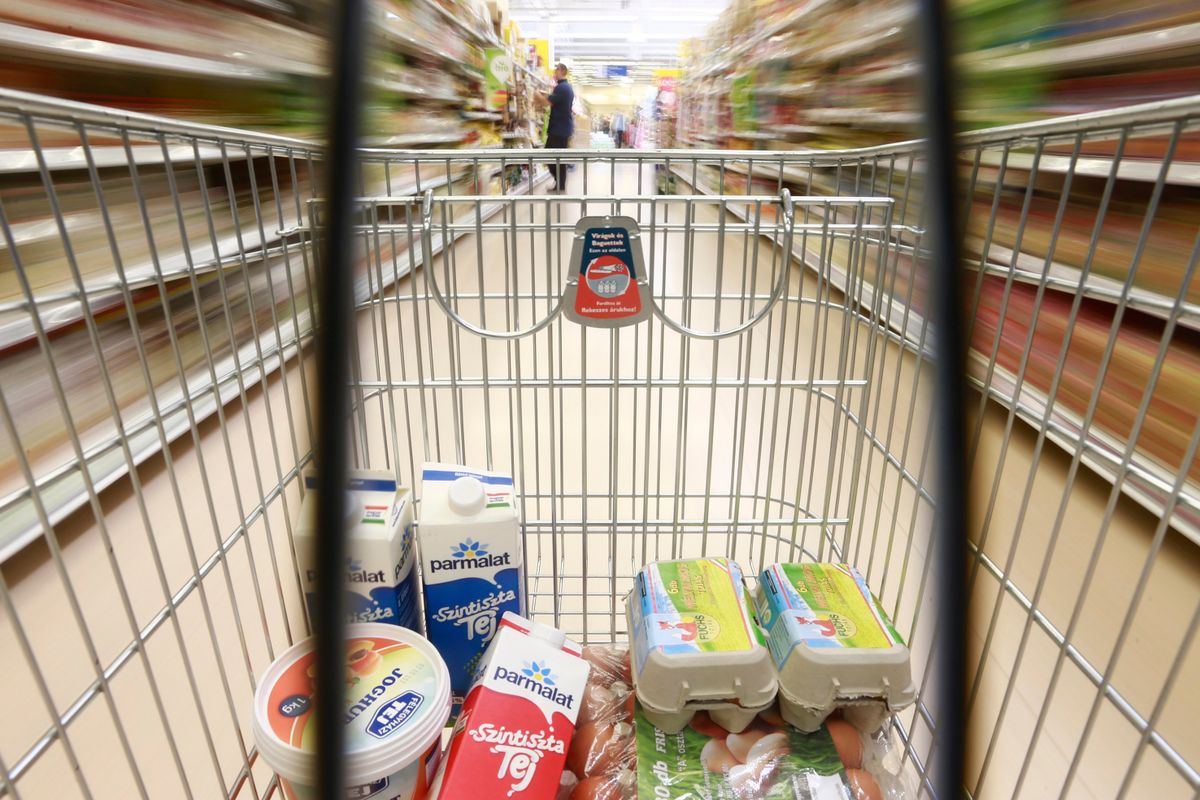adó, Tesco, kereskedelem, tojás, tej , baromfi, ÁFA csökkentés, vásárlás