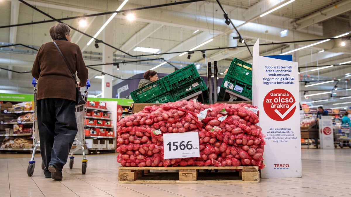Stratégiai cél, hogy hazánk a burgonyatermesztés területén önellátóvá váljon
