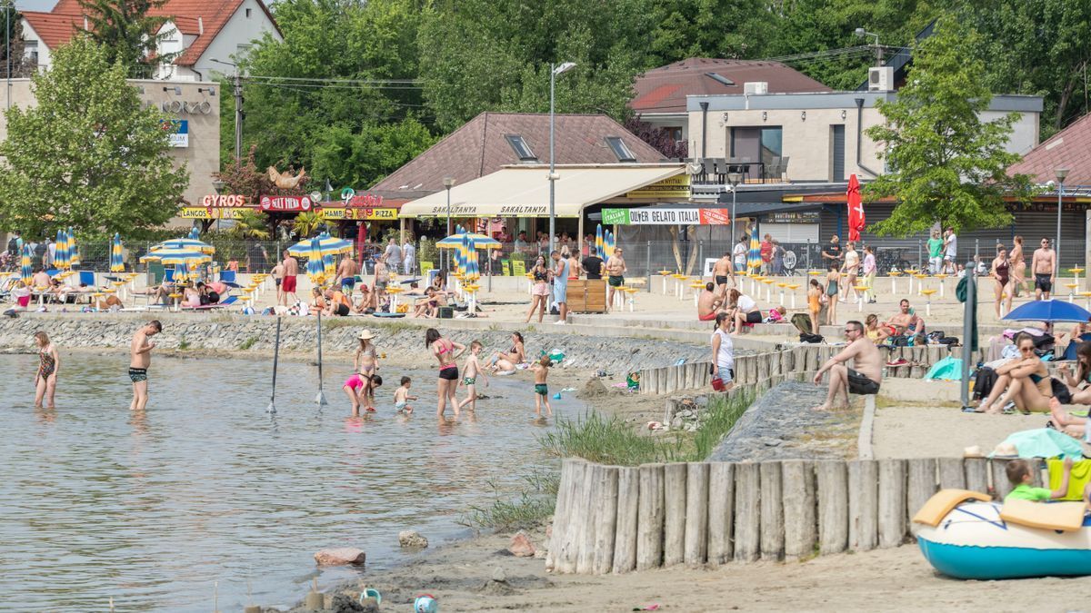 Valódi nyár és kánikula a Velencei-tónál (Fotó: FMH/Fehér Gábor)

Fehér Gábor/ Fejér Megyei HÍrlap