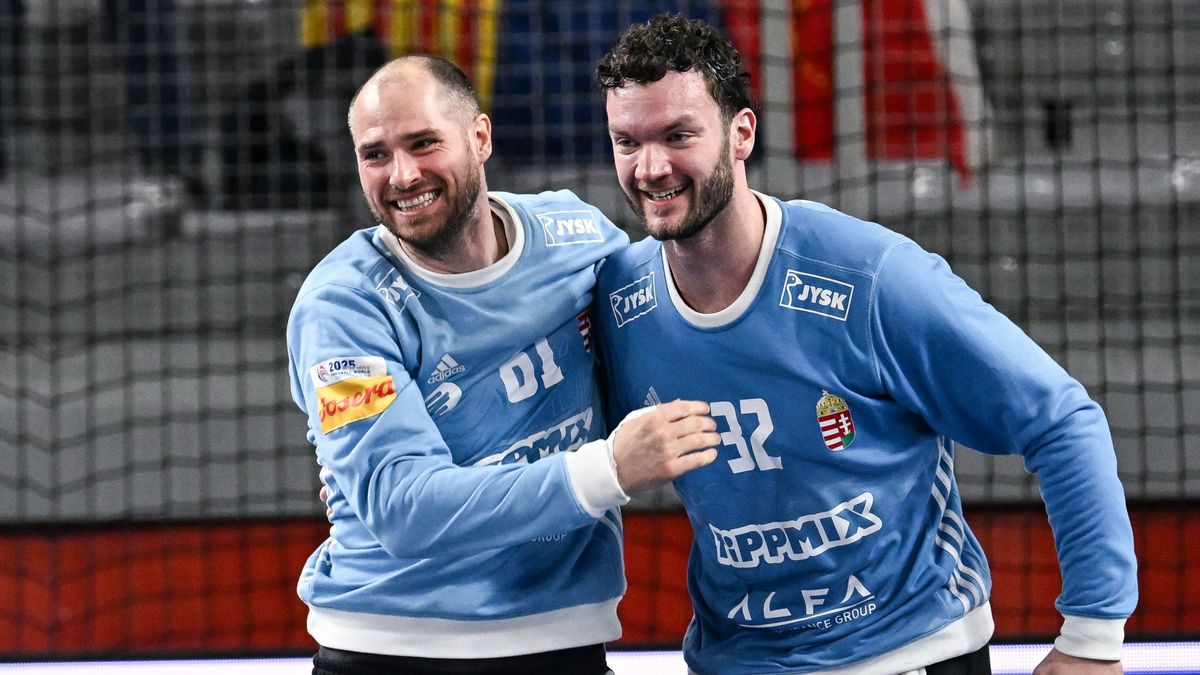Bartucz mellett a válogatott poszttárs, Palasics is a Melsungeben folytatja