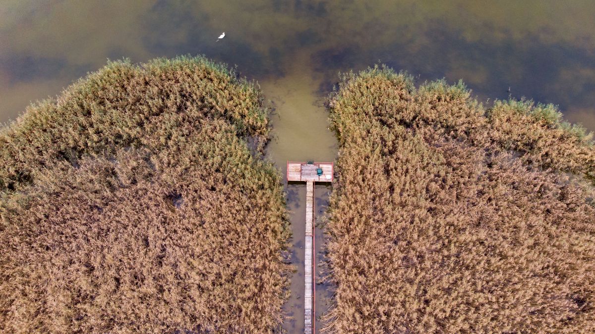 Bekeményítenek a Balatonnál