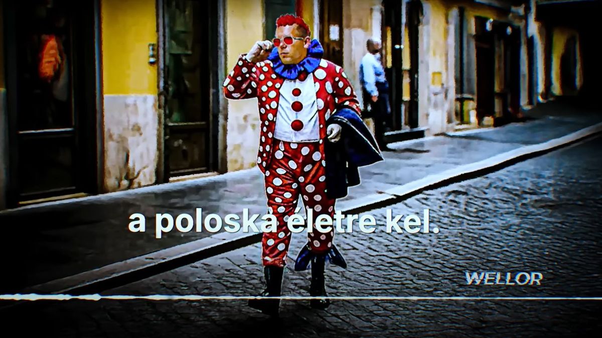 Wellornál most Magyar Péter, római magamutogatása verte ki a biztosítékot