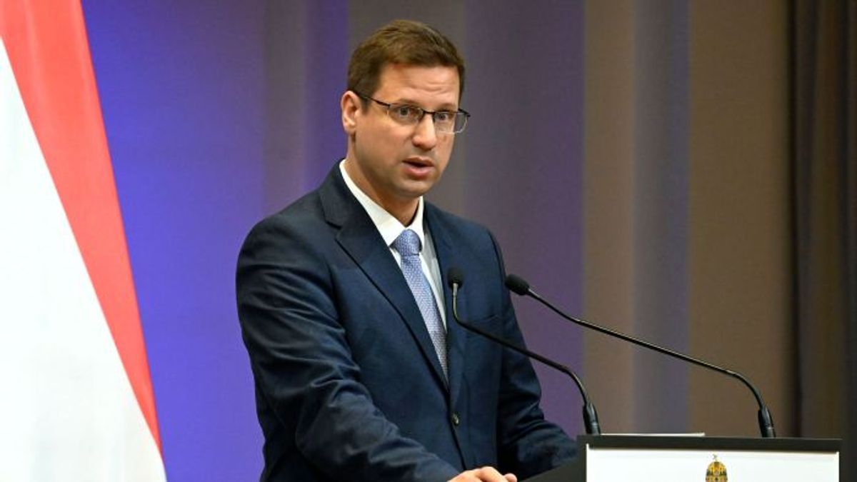 Gergely Gulyas: Brussels Supports War, Not Peace + Video
