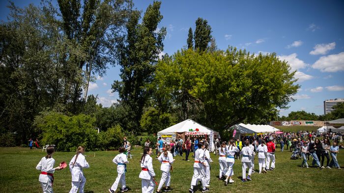 Gyereknap a Városligetben