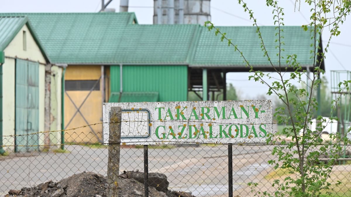 Ragadós száj- és körömfájás: enyhítésről döntöttek