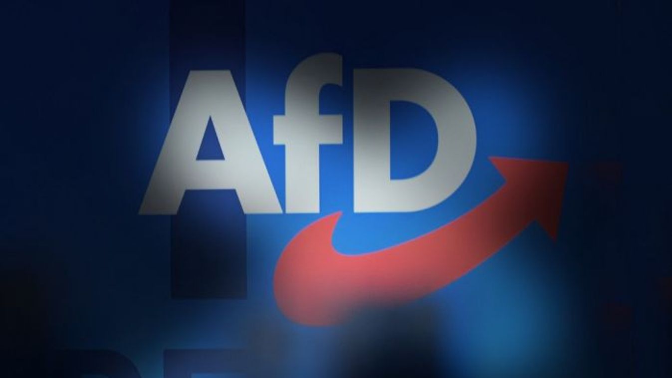 AfD enters battle for its cause (Photo: AFP)
