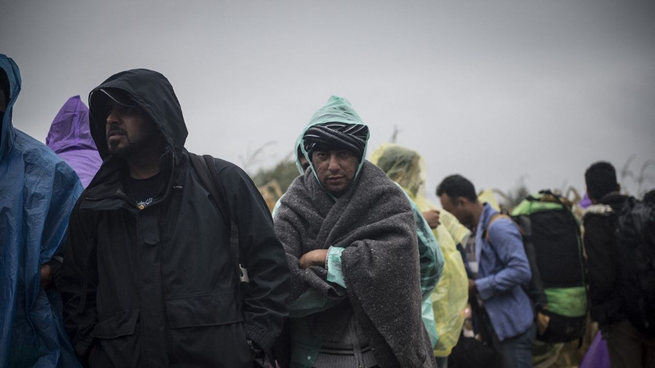 Illusztráció. Migránsok Sidnél (Fotó: AFP)