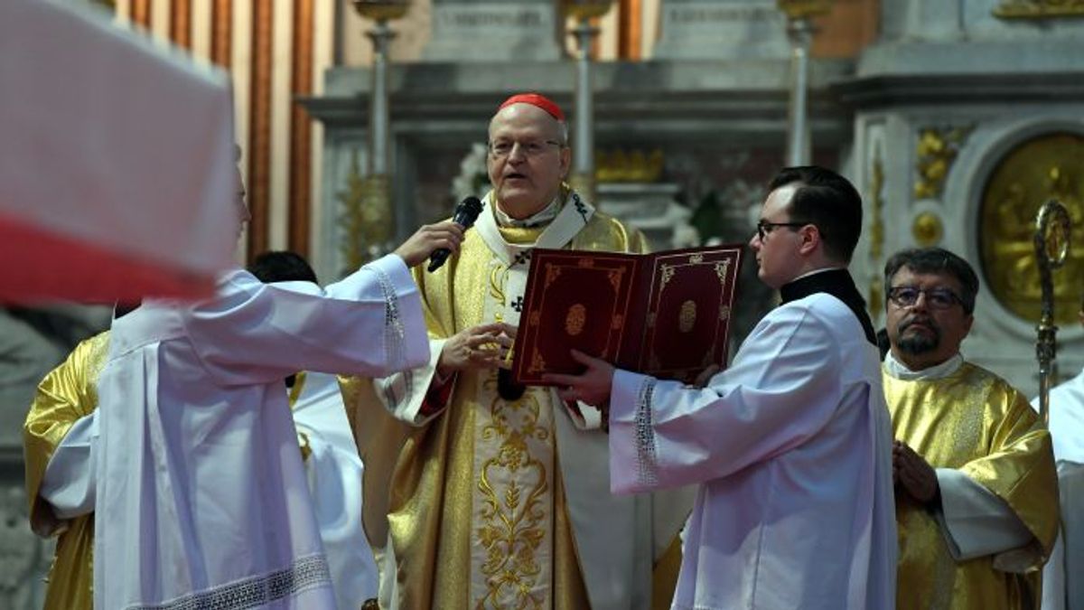 Cardinal Peter Erdo on the Would-Be Pope’s Responsibilities + Video