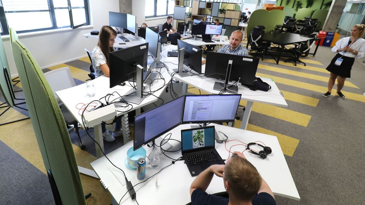 Home office: újra emelkedik a cégek száma, melyek felajánlják
