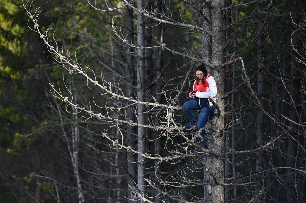 A woman sits on a branch of a tree during the men's 50km Mass Start Free event of the Cross Country discipline at the FIS Nordic World Ski Championships in Trondheim, Norway on March 8, 2025. (Photo by Jonathan NACKSTRAND / AFP)