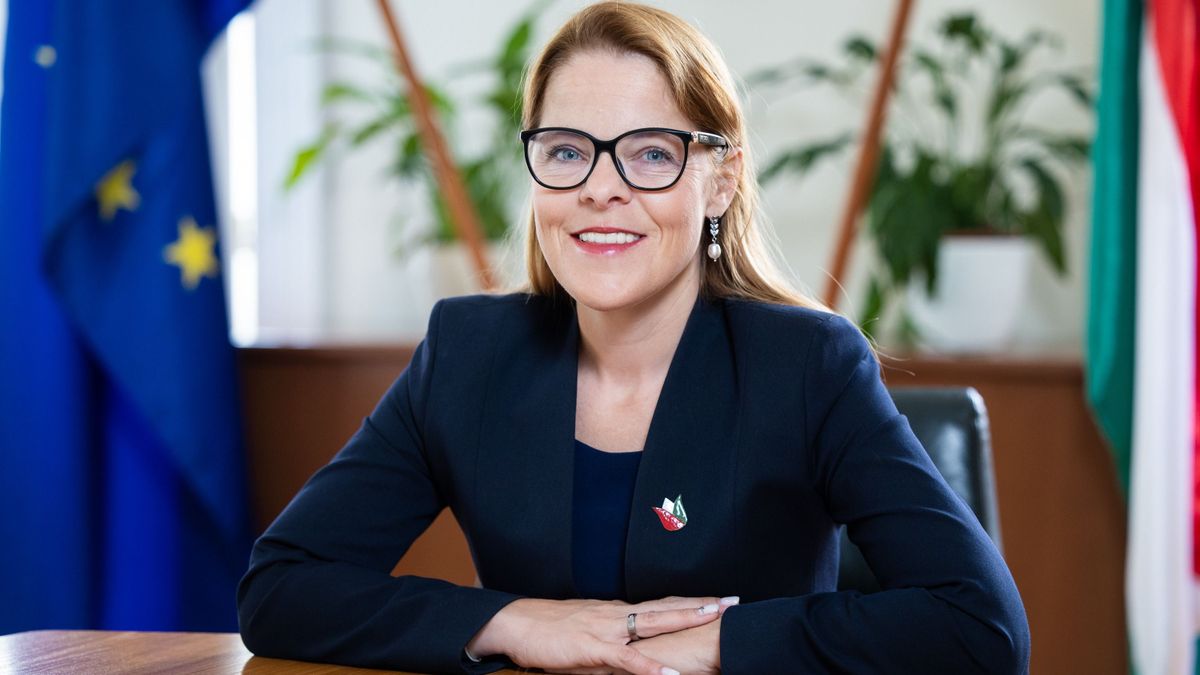 Dugig vannak az egyetemek pedagógushallgatókkal
