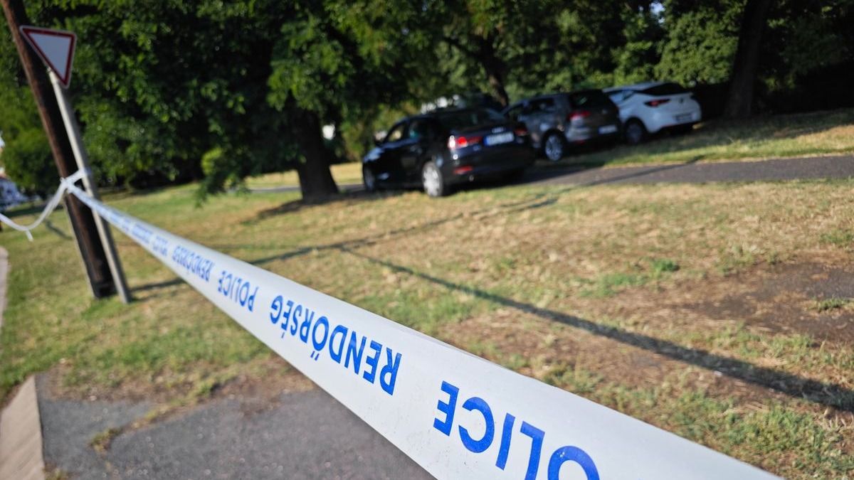 Kiszállt a rendőrség, emberi maradványokat találhattak Szombathelyen
