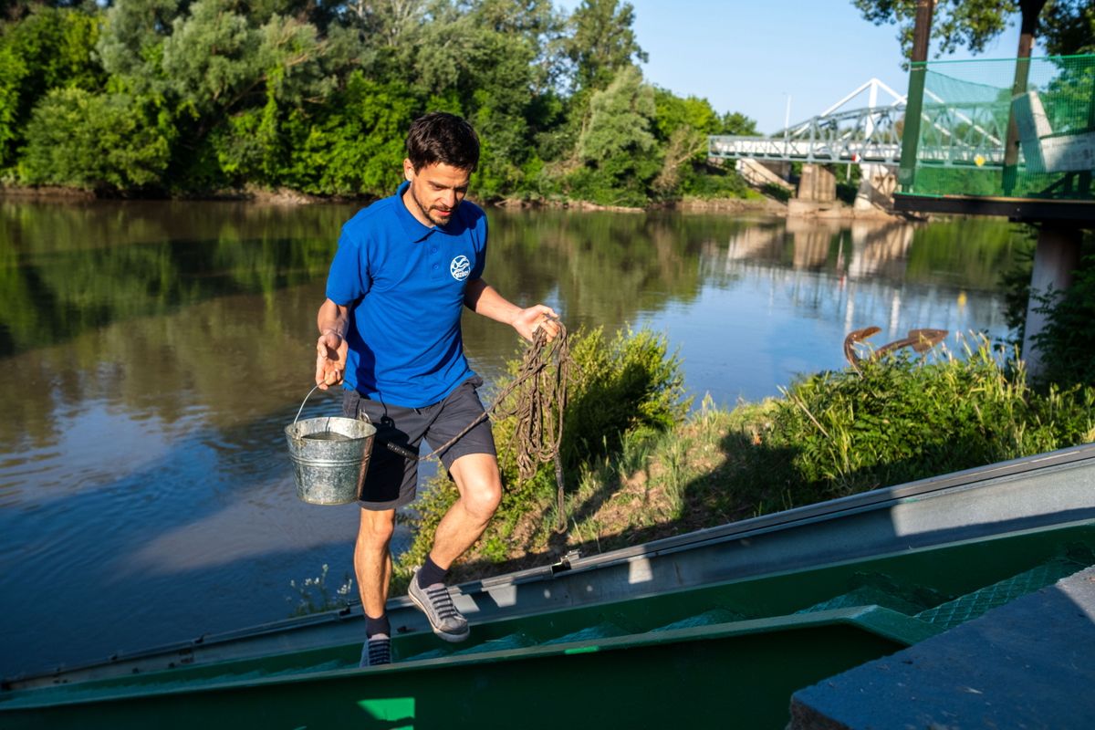 Makó, 2025. június 14.
Az Alsó-Tisza-vidéki Vízügyi Igazgatóság munkatársa mintát vesz a parajdi sóbánya katasztrófája miatt a Marosból a folyó sótartalmának megméréséhez Makónál 2025. június 14-én.
MTI/Oláh Tamás