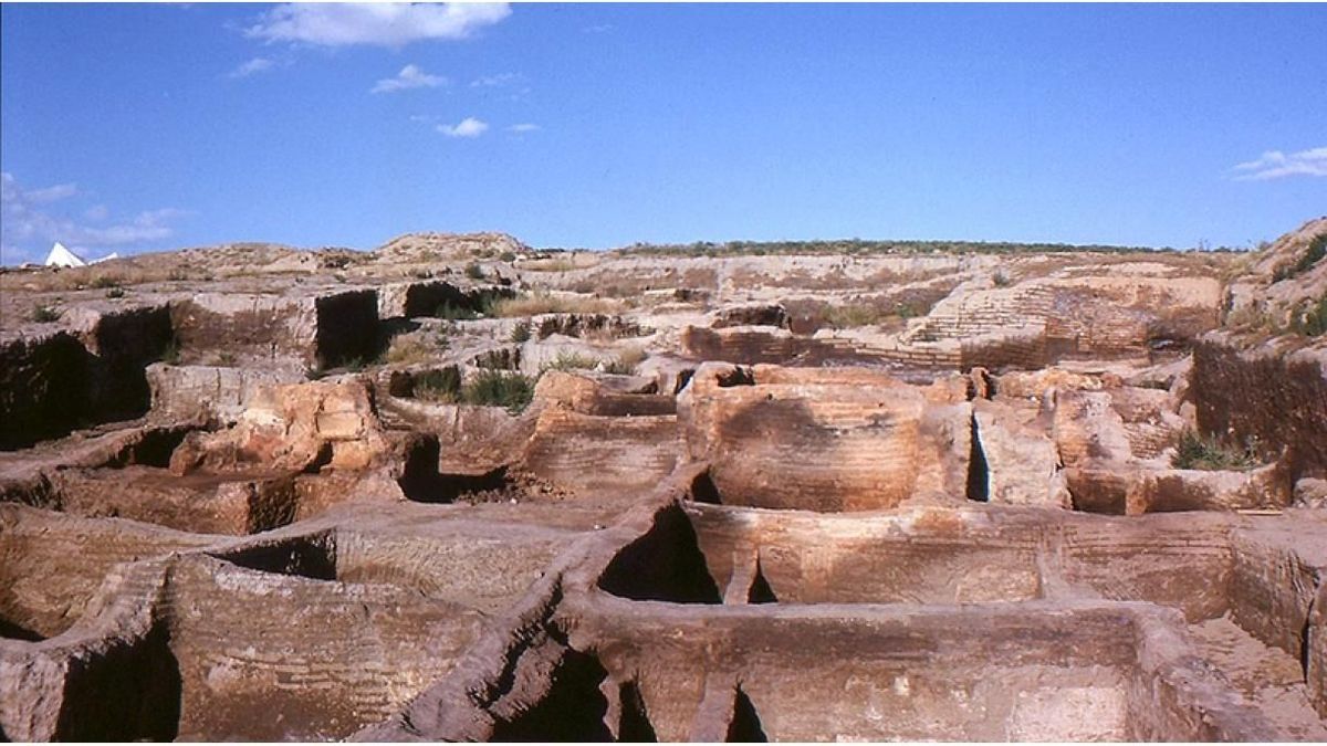 DNS-elemzés oldott meg egy régészeti rejtélyt Çatalhöyükben