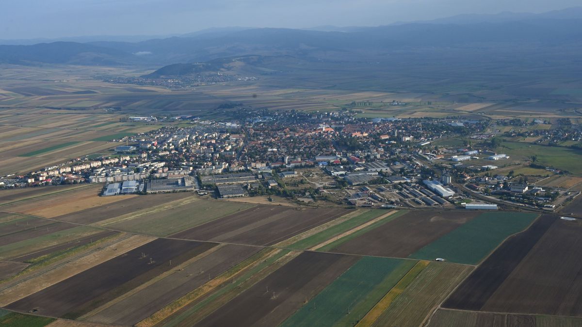 Soha nem találkoztunk ilyen gátlástalan, gonosz, embertelen tettel – brutális esetről számoltak be a zalai állatvédők