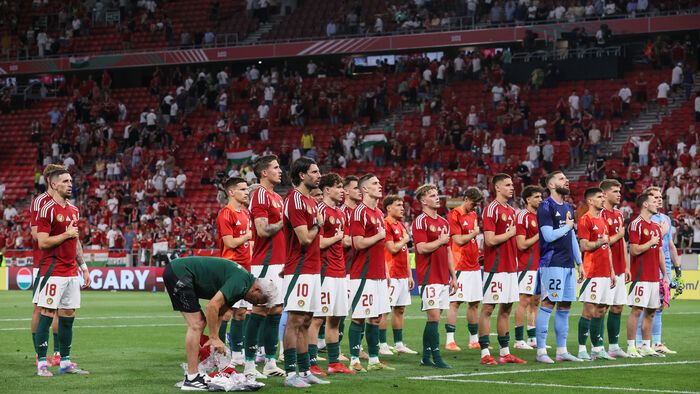 Magyarország - Svédország válogatott labdarúgó mérkőzés