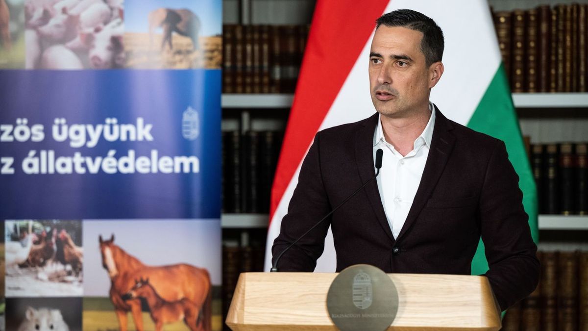 Véget ér a horrortanyák kora, lecsap a kormány az illegális állatszaporítókra