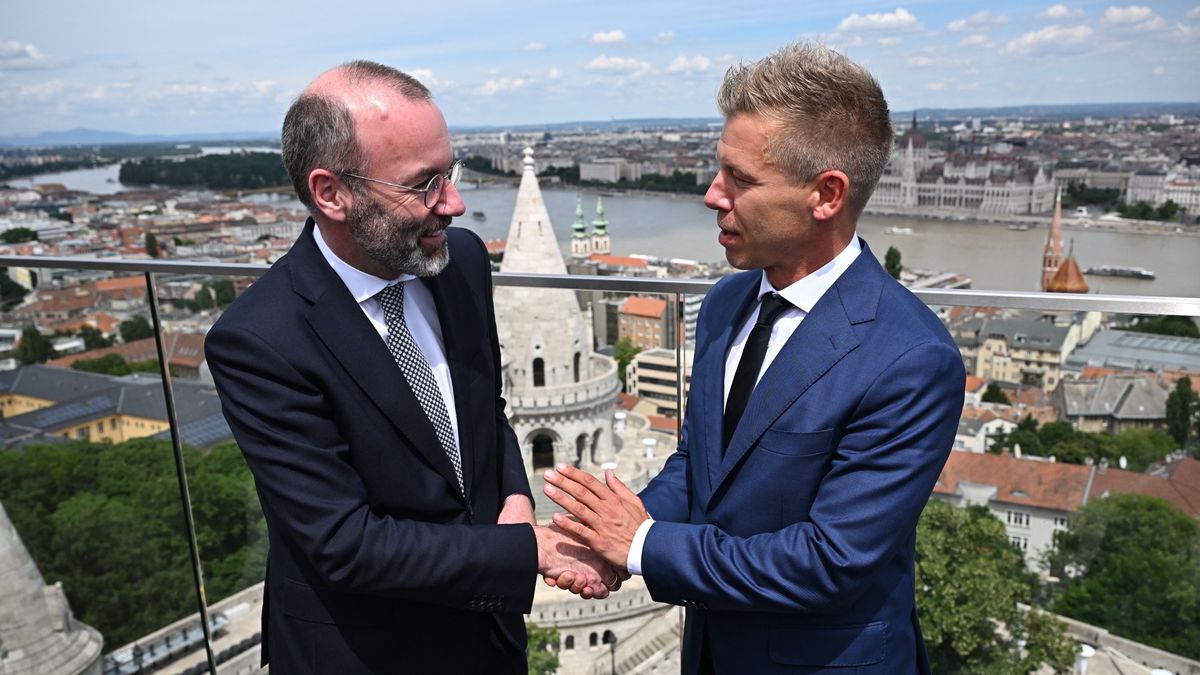 Magyar Péter ismét hazudott, ezúttal az EP-ben