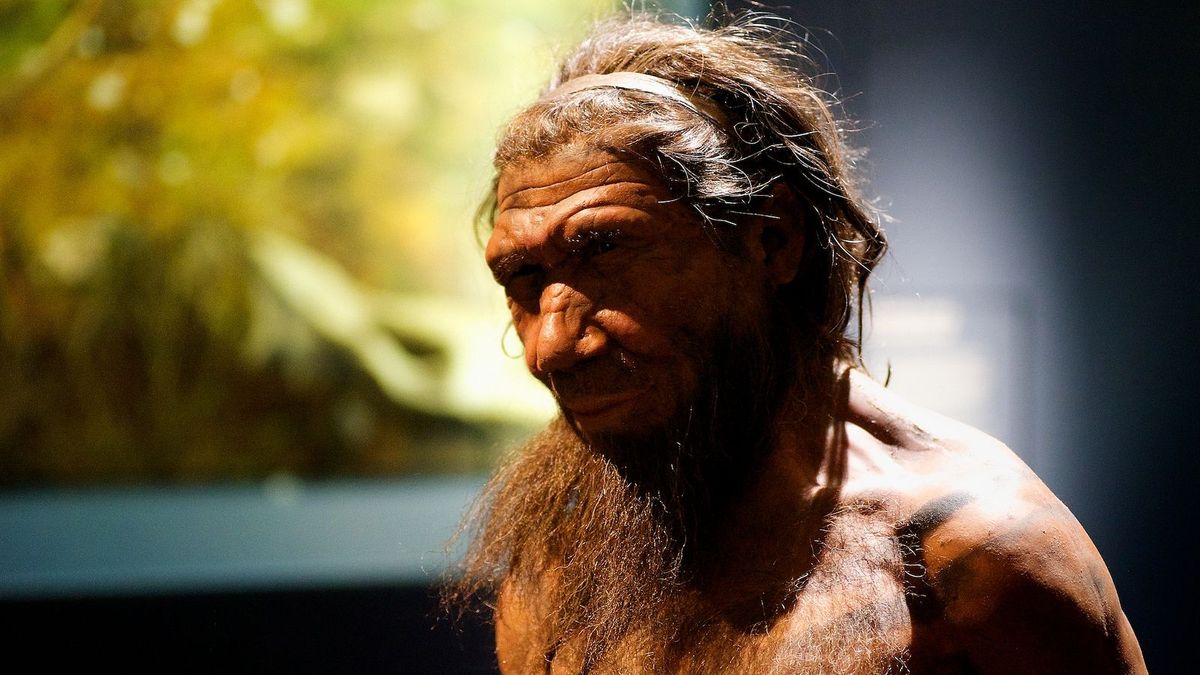 Katasztrófa történhetett 110 ezer éve a neandervölgyiekkel
