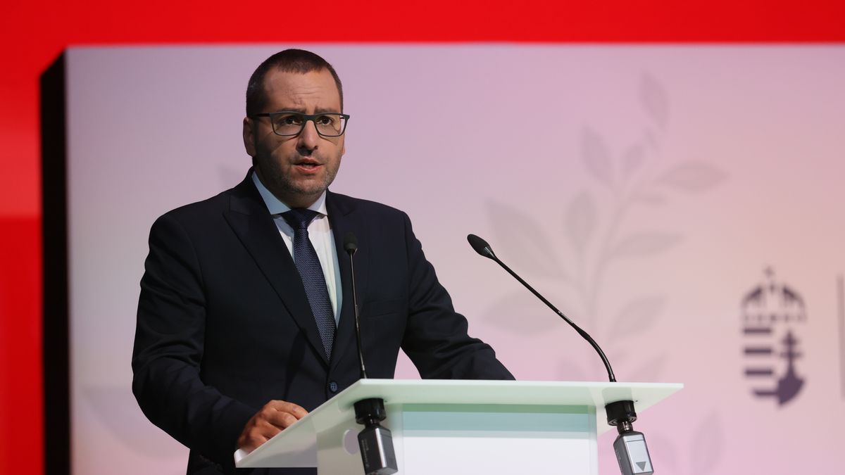 Lánczi Tamás: Magyarországon a külföldi hálózat emberei nem tudnak elbújni