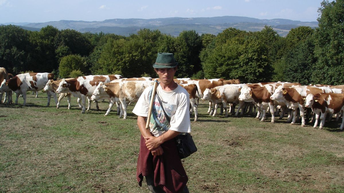 Magyar alkotás diadalmaskodott a legrangosabb szlovák filmfesztiválon