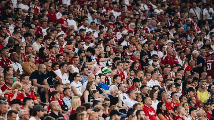 Magyarország - Svédország válogatott labdarúgó mérkőzés