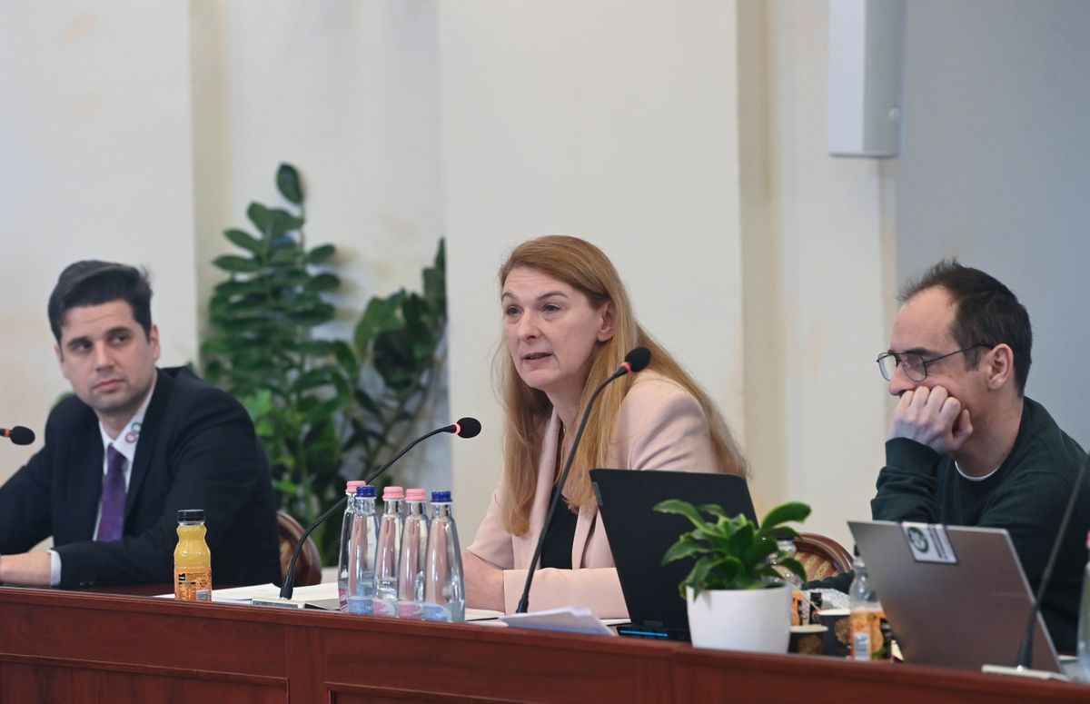 Baranyi Krisztina az elmúlt időszakban úgy váltogatta a baloldalon a pártjait, mint a véleményét egy adott témában