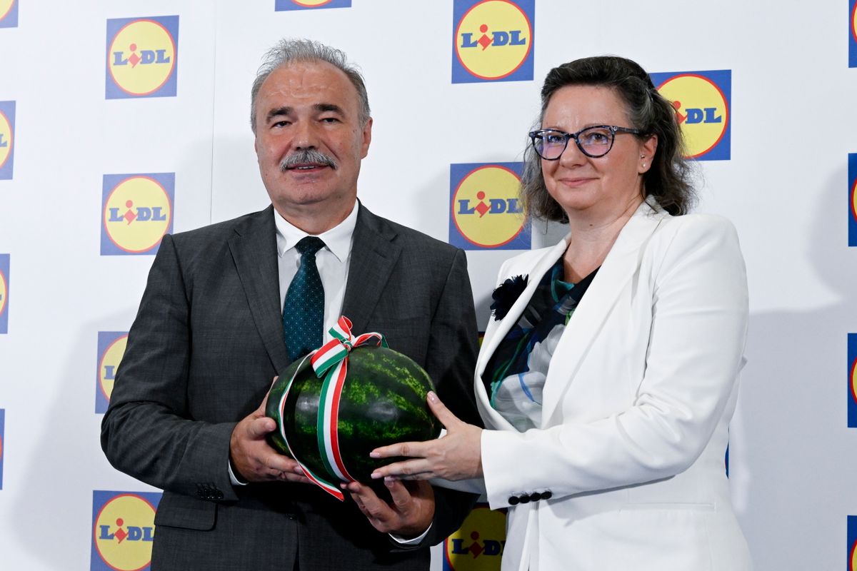 dinnyeszezon, Nagy István, dinnye
