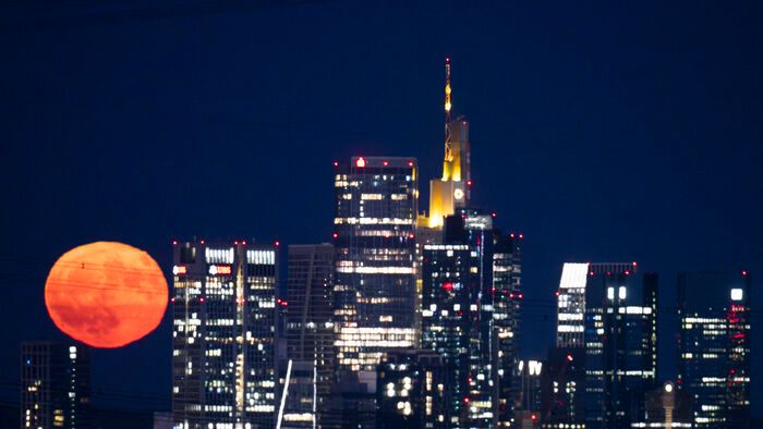 A mézhold elképesztően festett Frankfurtban is