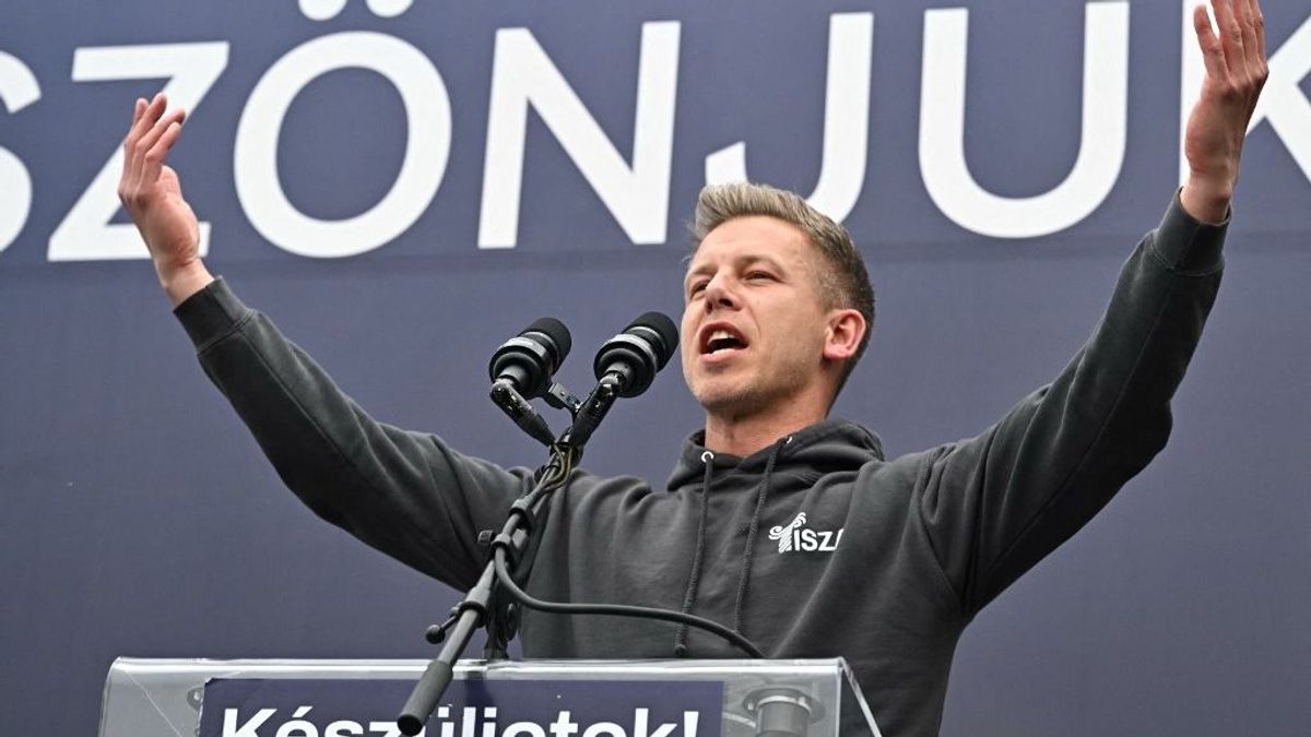 Hallgat a Soros-párti lengyel EP-képviselő, aki Magyar Pétert védi