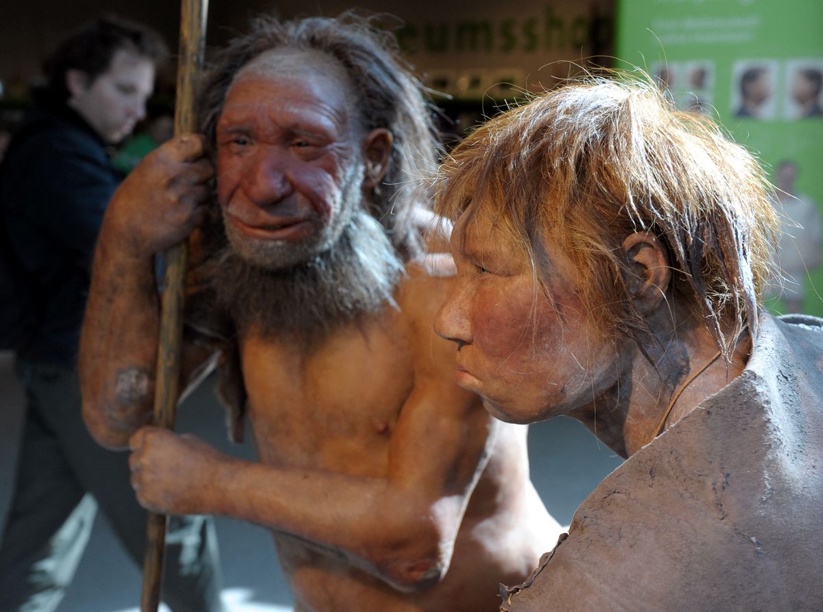 The reconstruction of a Neanderthal woman (R) and man (L) pictured at the Neanderthal Museum of Mettmann, Germany, 20 March 2009. As spring is here, the Neanderthal man gets company of a woman - red-haired and in her twenties - who wears her most beautiful summer dress. For the time being, the exact reconstruction of a Neanderthal woman will join the male conspecifics in the museum. Photo: FEDERICO GAMBARINI (Photo by FEDERICO GAMBARINI / DPA / dpa Picture-Alliance via AFP)