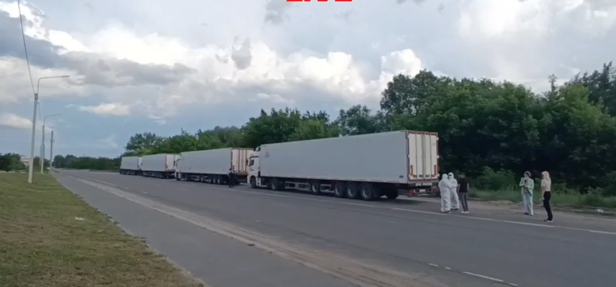 Hollandia szerint bűncselekmény, amit Kijev csinál a halott katonáival (Fotó: X-videó)
