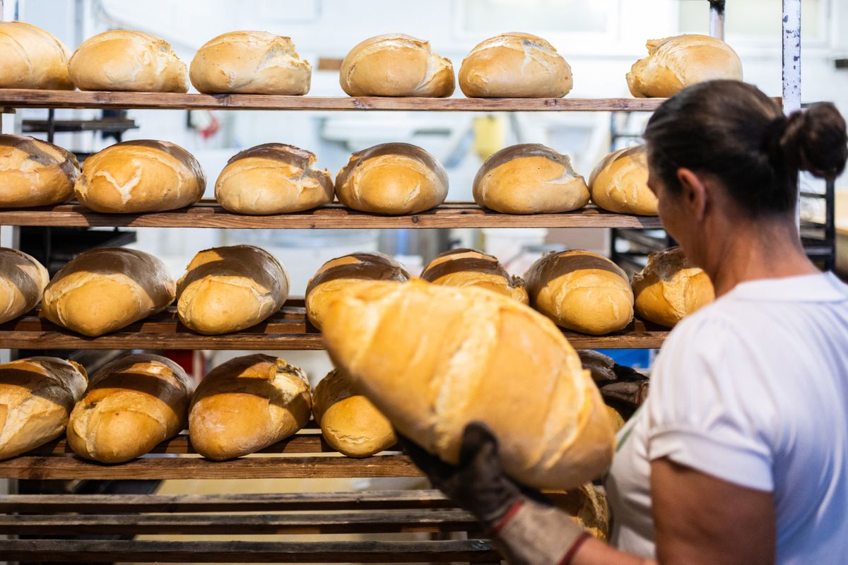 20250615 Tar
Pékség illusztráció.
fotó: Ladóczki Balázs (LB)
MW