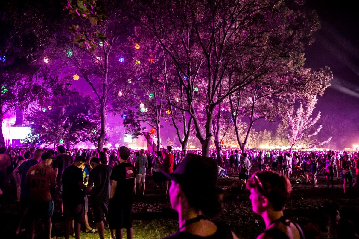 Sziget