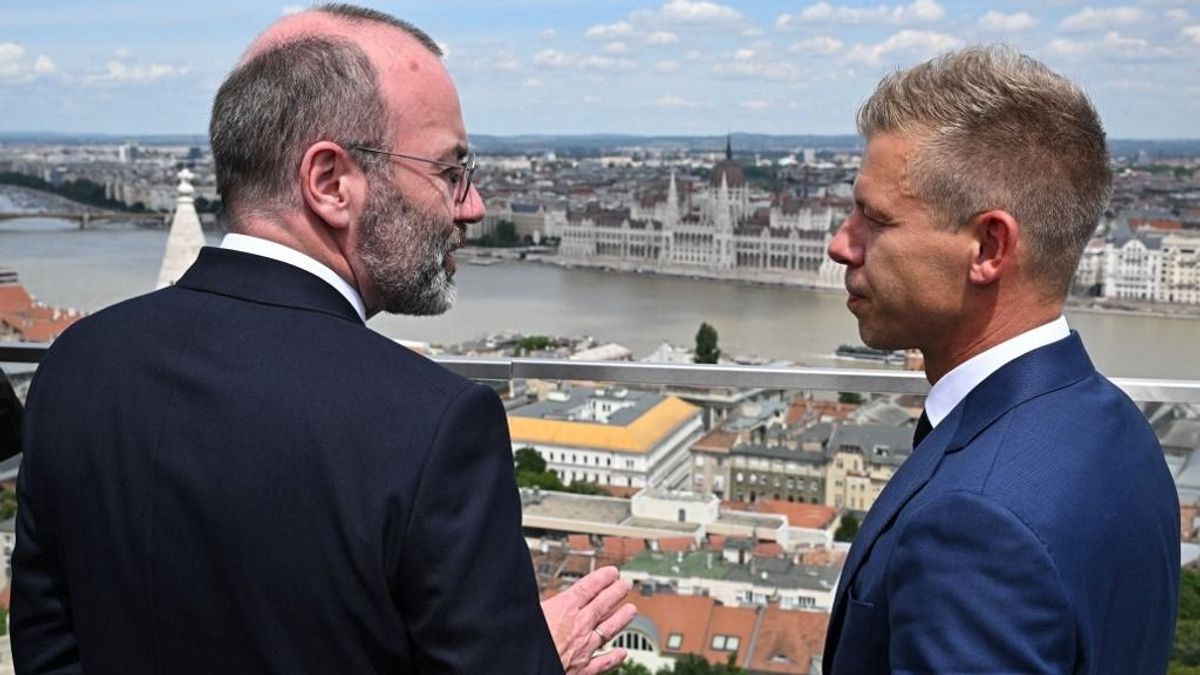 Dömötör Csaba: Magyar Péter jól elvan