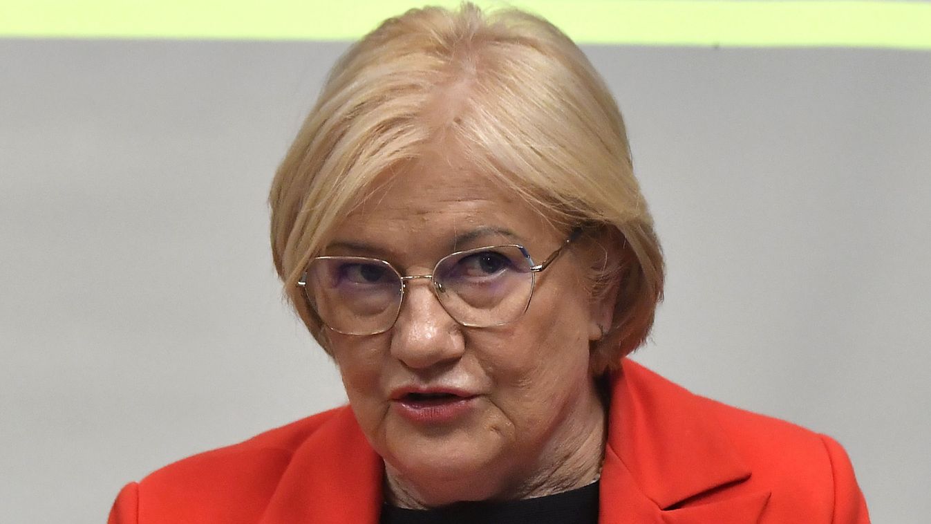 Szili Katalin: A nemzeti kisebbségek jogainak érvényesítéséhez szükség van a parlamenti képviseletre Kép