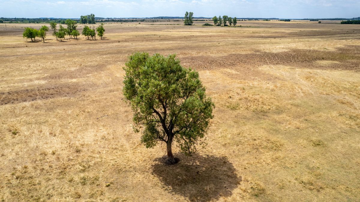 Ránézni is fáj ezekre a fotókra, már az űrből is látni, mekkora aszály sújtja az Alföldet