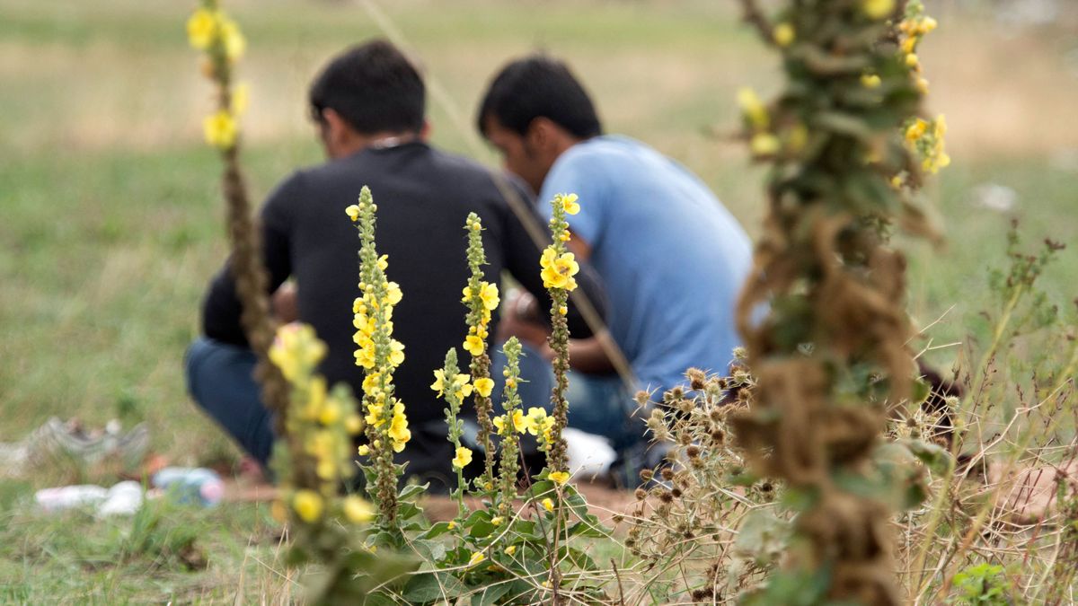 Jelentősen szigorították a belga migrációs törvényt