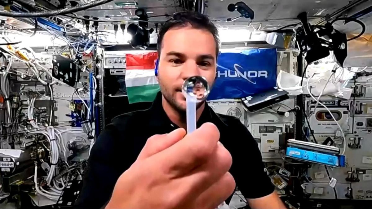 Kapu Tibor forradalmi kísérletet hajt végre muslicákkal az űrben + videó