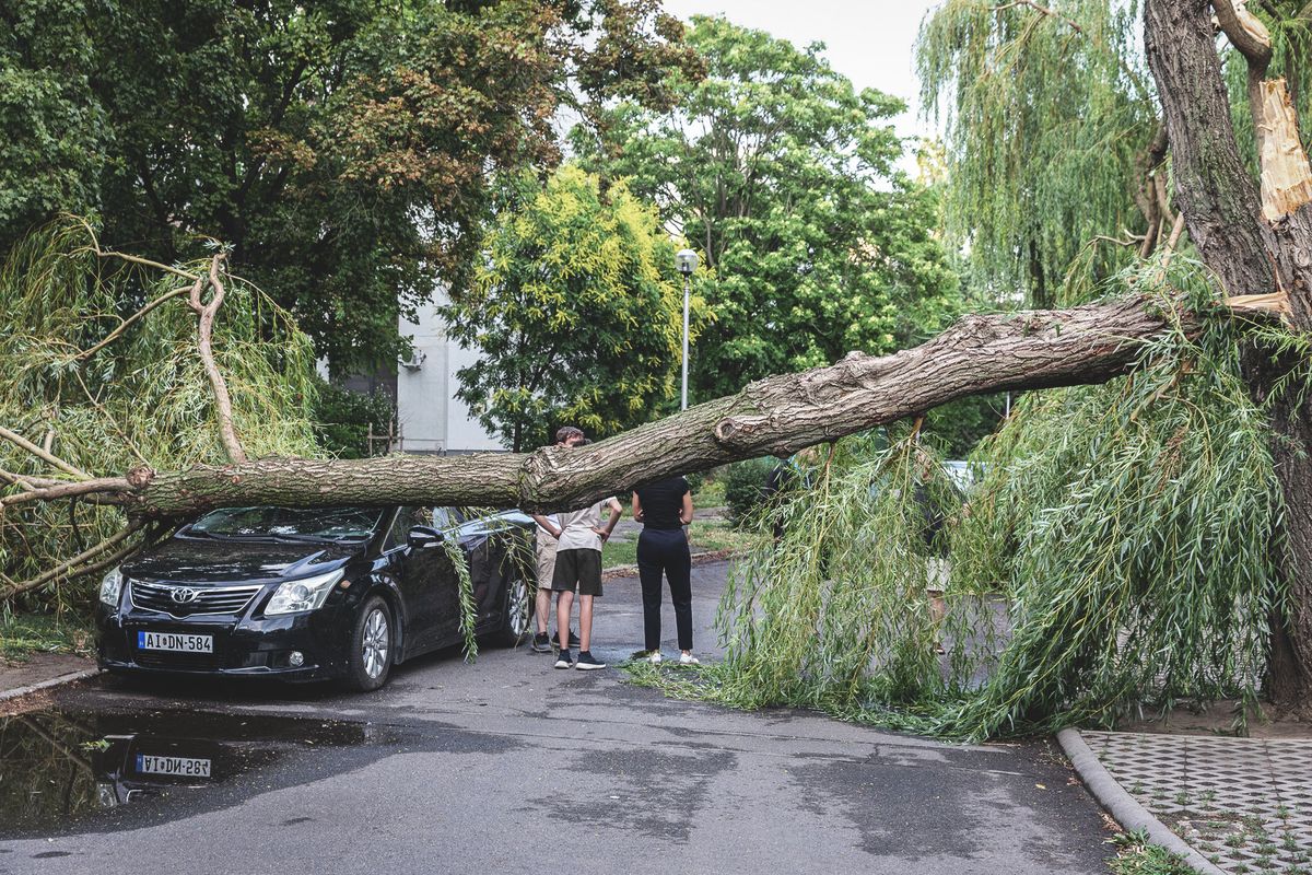 20250707 Debrecen
Viharkárok Debrecenben.
Fotó: Vida Márton Péter VMP
Hajdú-Bihari Napló